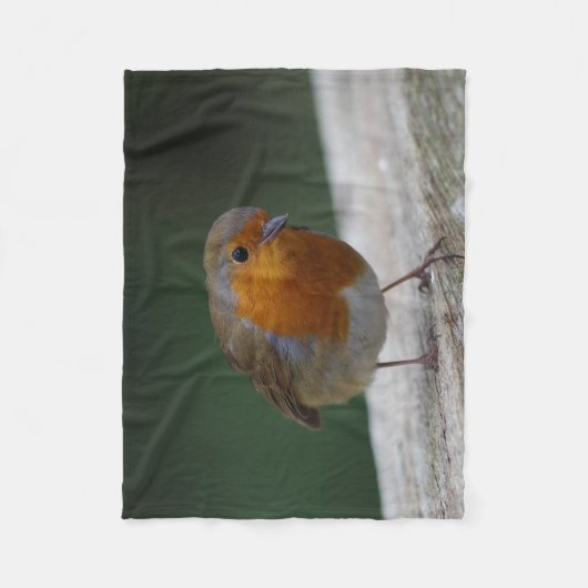 Robin-Fleece-Decke Fleecedecke (Vorderseite)