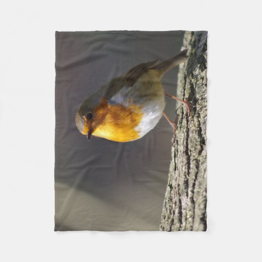 Robin-Fleece-Decke Fleecedecke (Vorderseite)