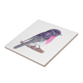 Robin Fliese (Seite)