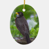 Robin Foto Ornament (Vorne)