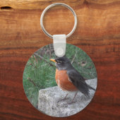 Robin Foto Personalisiert Handgeschriebener Name Schlüsselanhänger (Vorderseite)