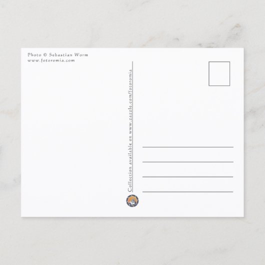 Robin Foto singen Postkarte (Rückseite)