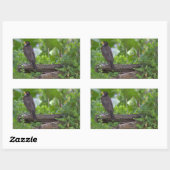 Robin Foto Stickers (Blatt)