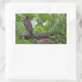 Robin Foto Stickers (Tasche)