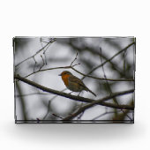 Robin  fotoblock (Vorderseite)