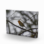 Robin  fotoblock (Rechts)