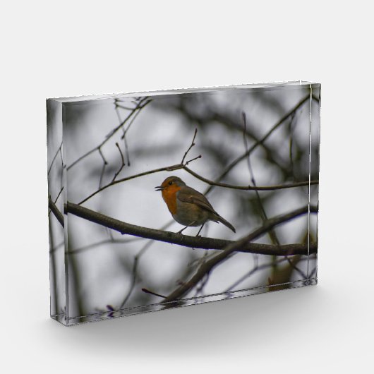 Robin  fotoblock (Links)