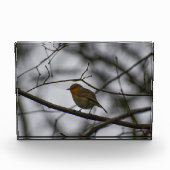 Robin  fotoblock (Vorderseite)