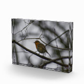 Robin  fotoblock (Rechts)