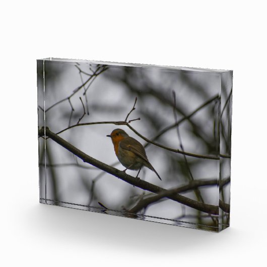 Robin fotoblock (Rechts)