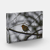 Robin fotoblock (Links)