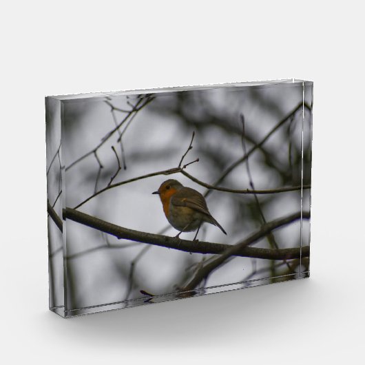 Robin  fotoblock (Links)