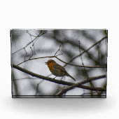 Robin  fotoblock (Vorderseite)