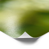 Robin Fotodruck (Ecke)