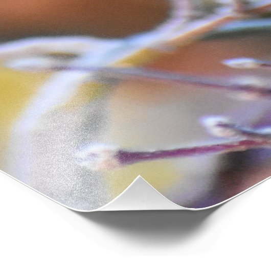 Robin Fotodruck (Ecke)