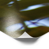 Robin Fotodruck (Ecke)