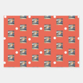 Robin Fotografic Wrapping Paper Geschenkpapier Set (Vorderseite 3)