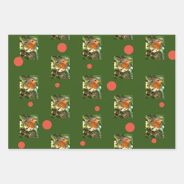 Robin Fotografic Wrapping Paper Geschenkpapier Set