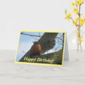 Robin Fotografie Geburtstag Karte (Gelbe Blume)