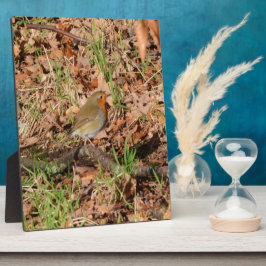 Robin Fotoplatte