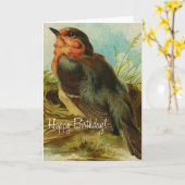 Robin Geburtstag Karte (Gelbe Blume)