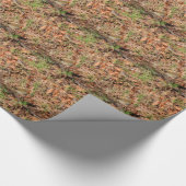 Robin Geschenkpapier (Ecke)
