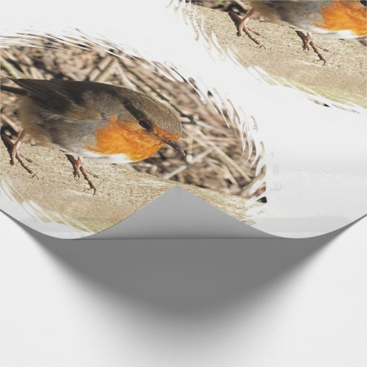 ROBIN GESCHENKPAPIER (Ecke)