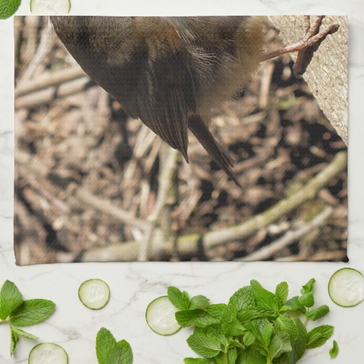 ROBIN GESCHIRRTUCH (Gefaltet)