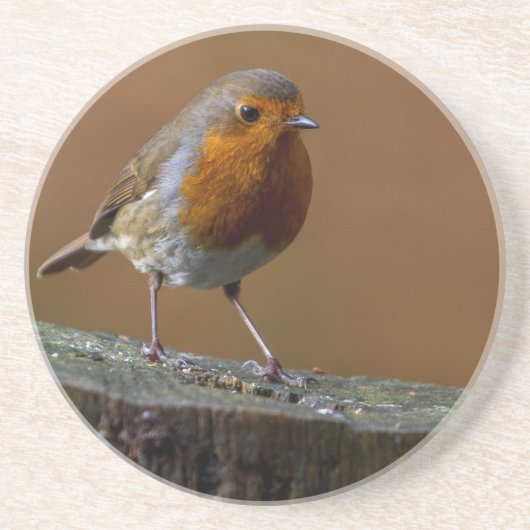 Robin Getränkeuntersetzer (Vorne)