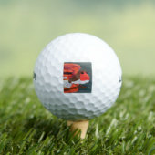 Robin Golfball (Insitu T-Shirt)