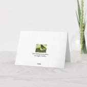 Robin Greeting Card Karte (Rückseite)