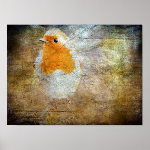 Robin Grunge Poster