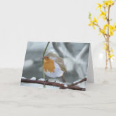 Robin-Grußkarte Karte (Gelbe Blume)