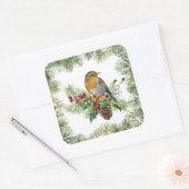 Robin, heilig, Kiefer Weihnachten Quadratischer Aufkleber (Umschlag)