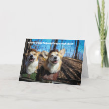 Robin Hood Corgi Friends
