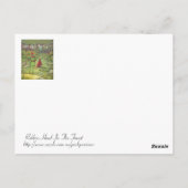 Robin Hood im Wald Postkarte (Rückseite)