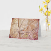 Robin Illustriert Scripture Card Matthew 6:26 Karte (Gelbe Blume)