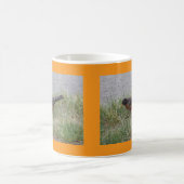 Robin im Gras Becher Kaffeetasse (Mittel)
