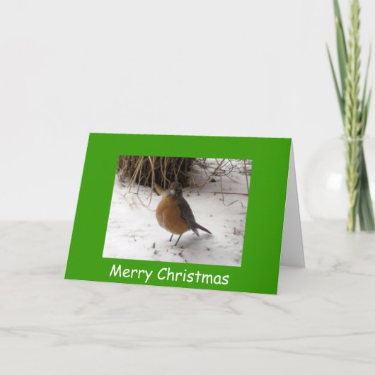 Robin im Schnee, Frohe Weihnachten (Vorderseite)
