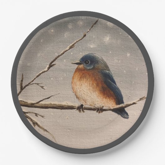 Robin im Schnee Pappteller (Vorderseite)