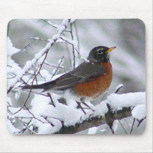 Robin im Schnee-Vogel Mousepad