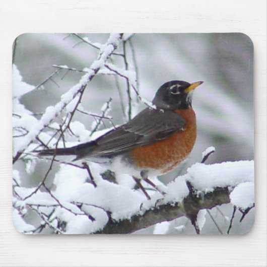 Robin im Schnee-Vogel Mousepad (Vorne)