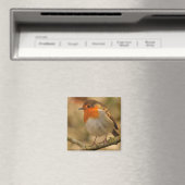 Robin im Sonnenschein Magnet (In Situ (Geschirrspüler))