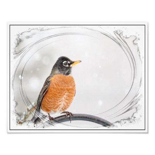Robin im Winter Fotodruck (Vorne)