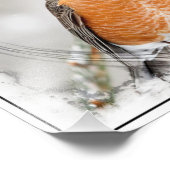 Robin im Winter Fotodruck (Ecke)