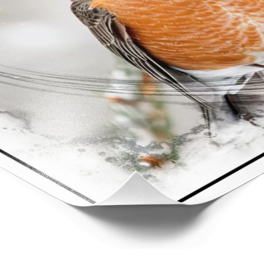Robin im Winter Fotodruck (Ecke)