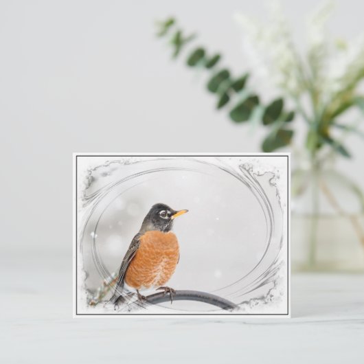 Robin im Winter Postkarte (Stehend Vorderseite)