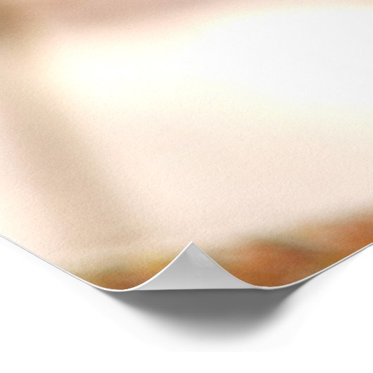 Robin im Winterland Poster (Ecke)