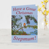 Robin in a Hawthorn Tree Christmas Card Stepmum Karte (Gelbe Blume)