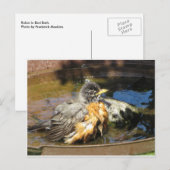 Robin in Bird Bath Postkarte (Vorne/Hinten)